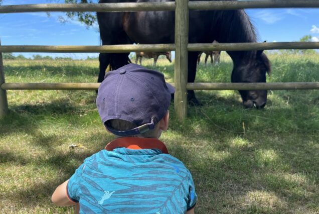 La journée en famille