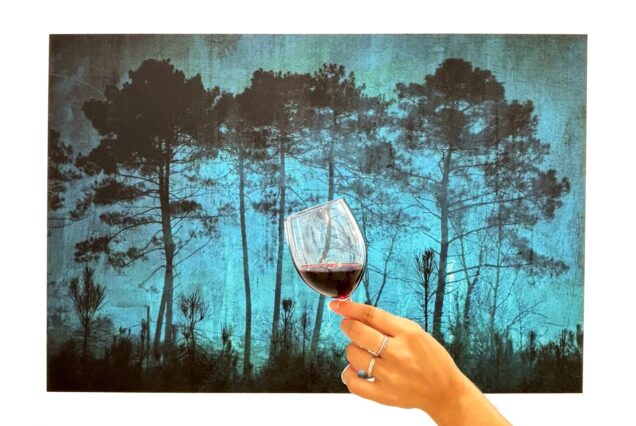 Atelier de dégustation Art & Vin "Quatre couleurs" au cœur des œuvres