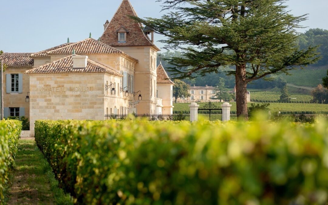 Œnotourisme à Bordeaux : vivez une expérience unique dans les vignes avec La Vie Bonne