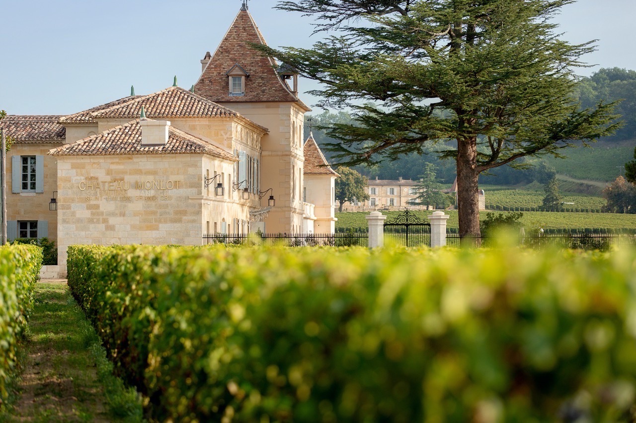 Œnotourisme à Bordeaux : vivez une expérience unique dans les vignes avec La Vie Bonne