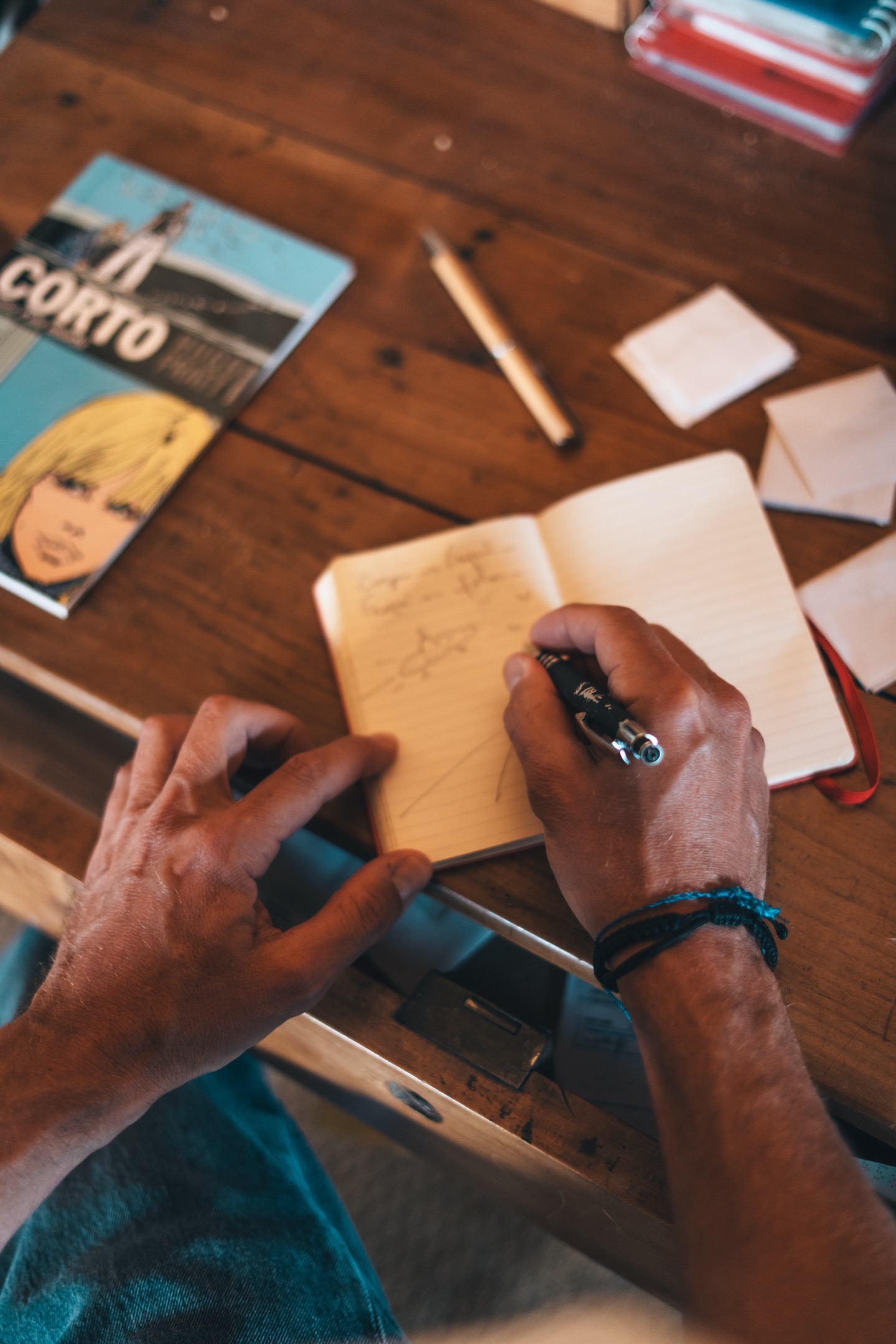 © La Vie Bonne - ecriture polar1